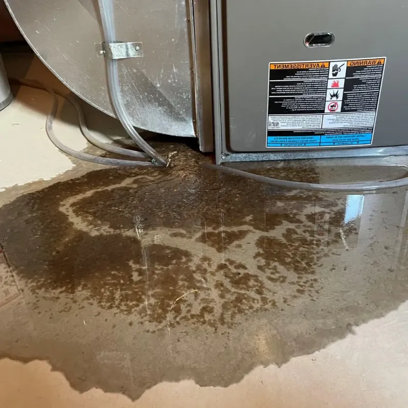 Pipe Burst and Leak Restoration in Mechanic Falls, ME